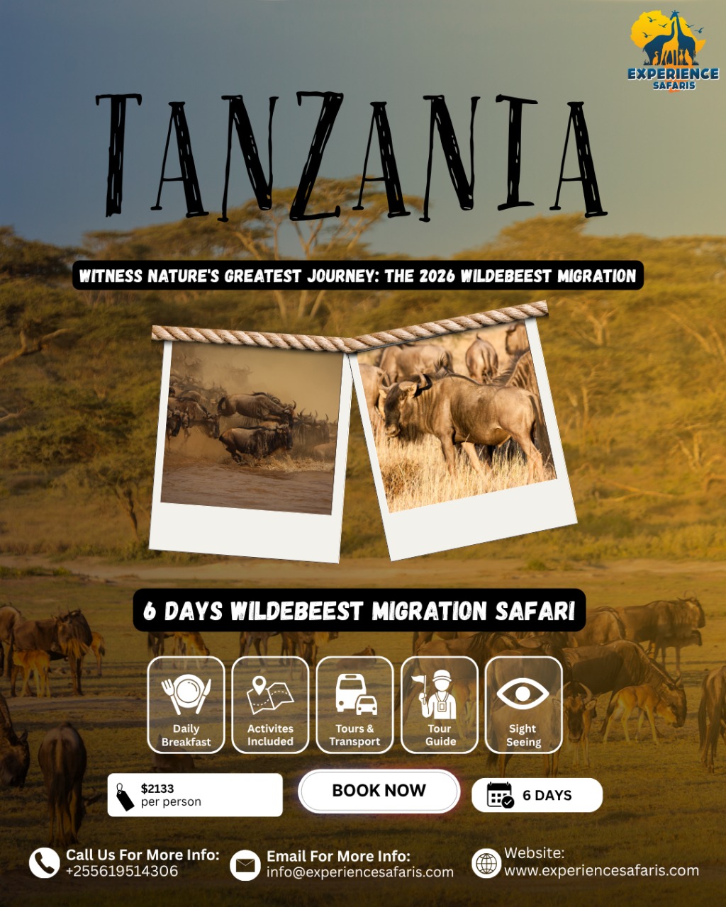 Great Wildebeests Migration in Tanzania