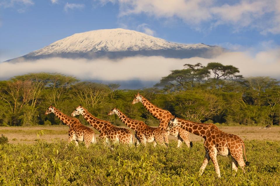 Discover Tanzania & Zanzibar: Perfect Holiday Packages, Best Time to Visit, and Luxury Stays at Four Seasons Tanzania