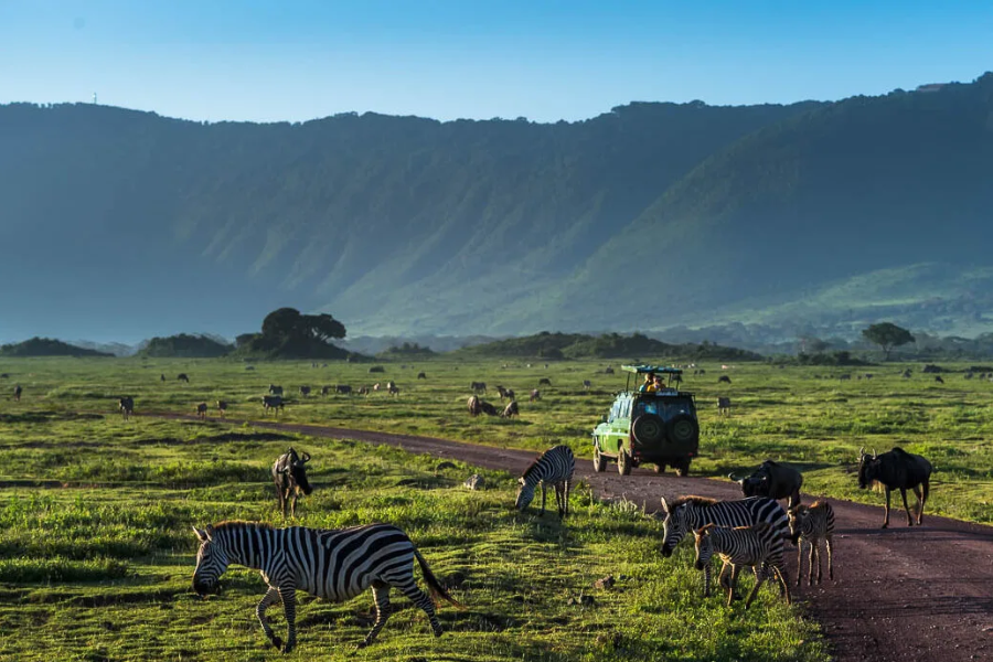 Ngorongoro Crater Tanzania Safari A Once-in-a-Lifetime Journey with Experience Safaris