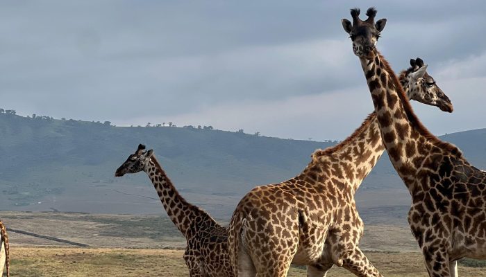 WhatsApp Image 2025-08-22 at 1.09.15 PM (1)