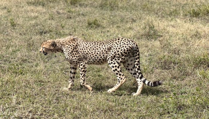 WhatsApp Image 2025-08-22 at 1.09.19 PM (1)