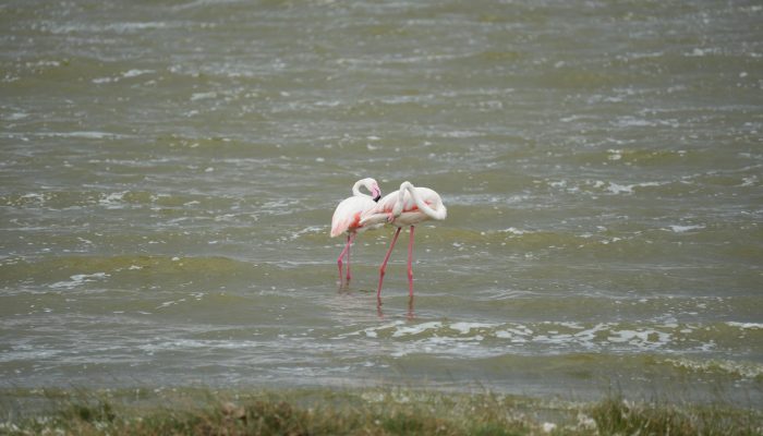 WhatsApp Image 2025-08-22 at 1.09.19 PM